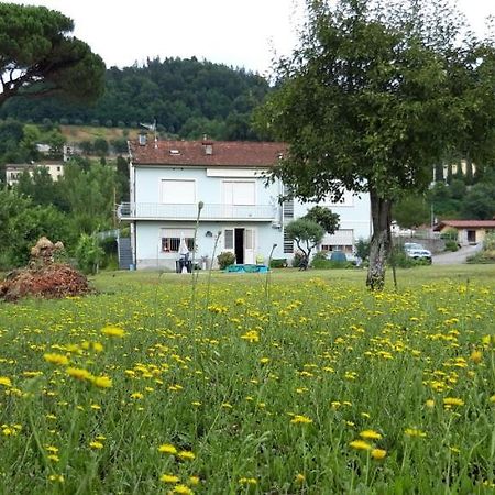 Affittacamere La Foresta Di Sopra Barga Dış mekan fotoğraf