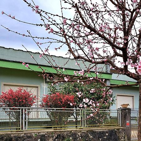 Affittacamere La Foresta Di Sopra Barga Dış mekan fotoğraf