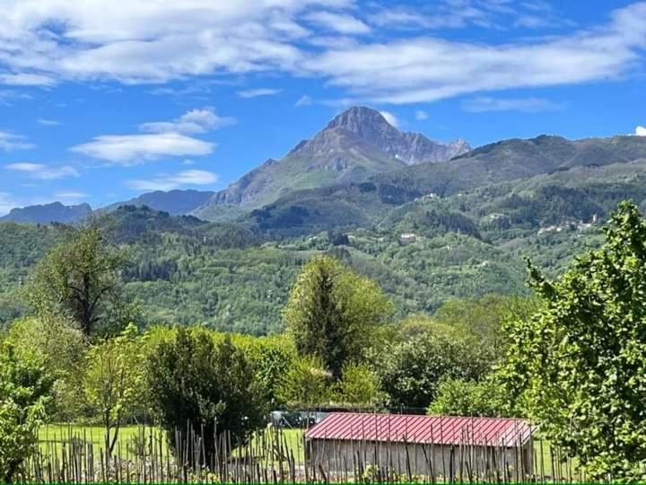 Affittacamere La Foresta Di Sopra Barga Dış mekan fotoğraf