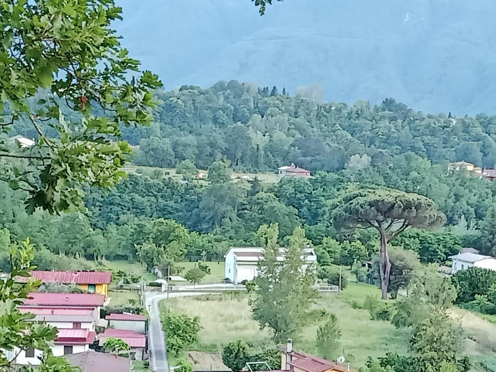 Affittacamere La Foresta Di Sopra Barga Dış mekan fotoğraf