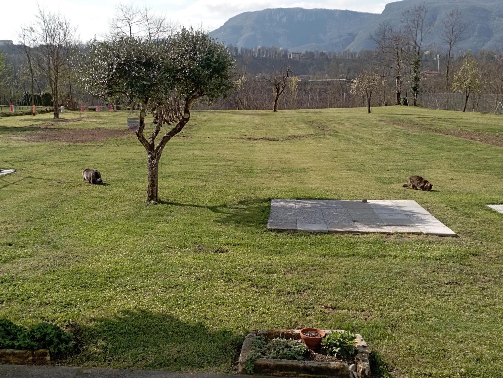 Affittacamere La Foresta Di Sopra Barga Dış mekan fotoğraf